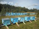 Изготовление и продажа ульев, пчелоинвентаря