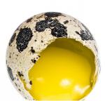 Инкубационные перепелиные яйца
