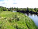 Земельный участок в Новгородской области на берегу реки