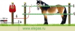 Электропастух для лошадей