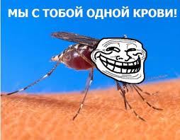 укусил комар