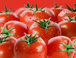 помидоры-гиганты